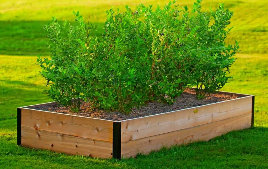 15 Best Raised Garden Bed Kits To Buy Bed Gardening