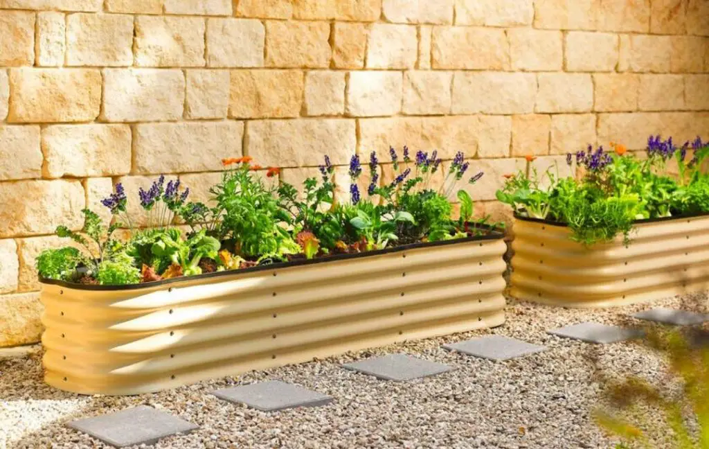 5 BEST METAL RAISED GARDEN BEDS Bed Gardening