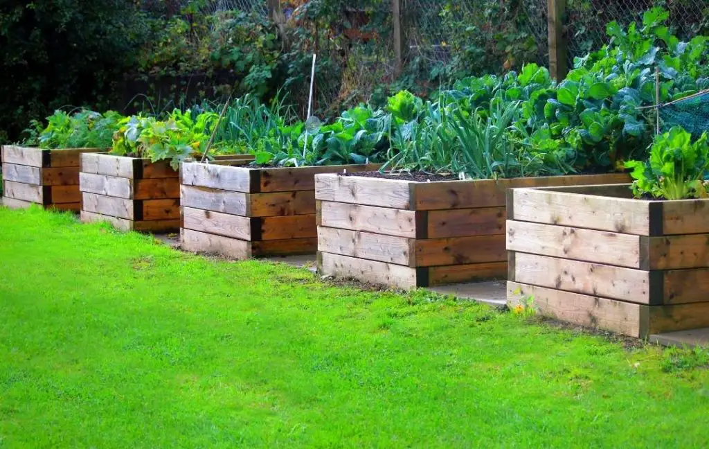 How To Make A Raised Garden Bed With Wood