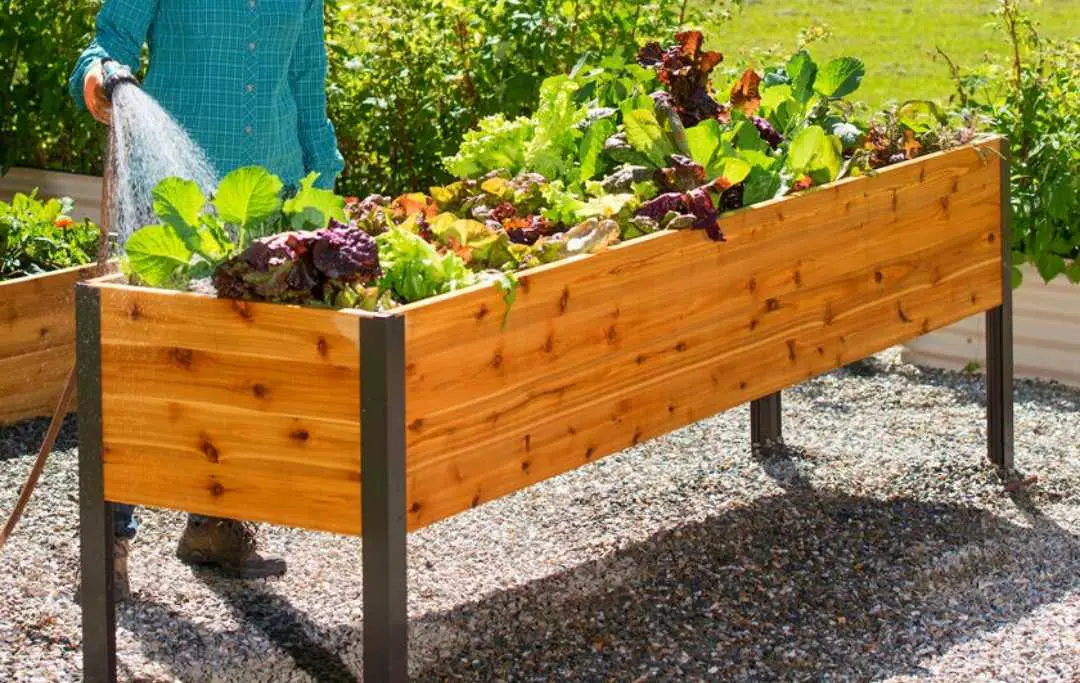 15 Of The Best Elevated Planter Box Plans – Bed Gardening
